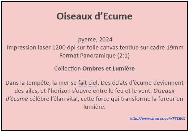 Cartel de Oiseaux d'Ecume